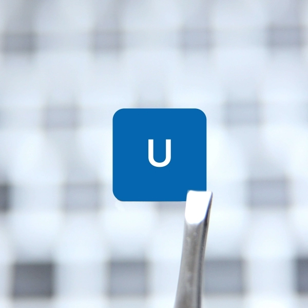 Learn Touch Typing, English (US/UK) Keyboard stickers