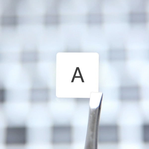 UK & US Keyboard Layout on White Background 