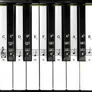Piano Musical Keyboard Stickers – for Black and White Keys