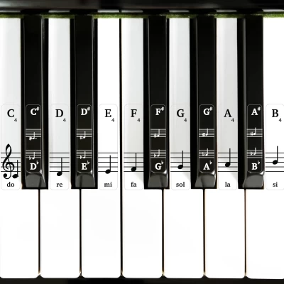 Piano Musical Keyboard Stickers – for Black and White Keys