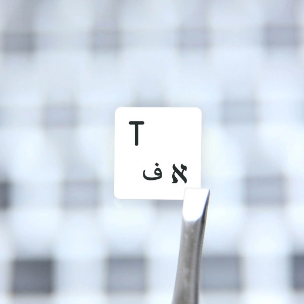 Arabic, Hebrew & English Non Transparent Stickers for White Keyboard